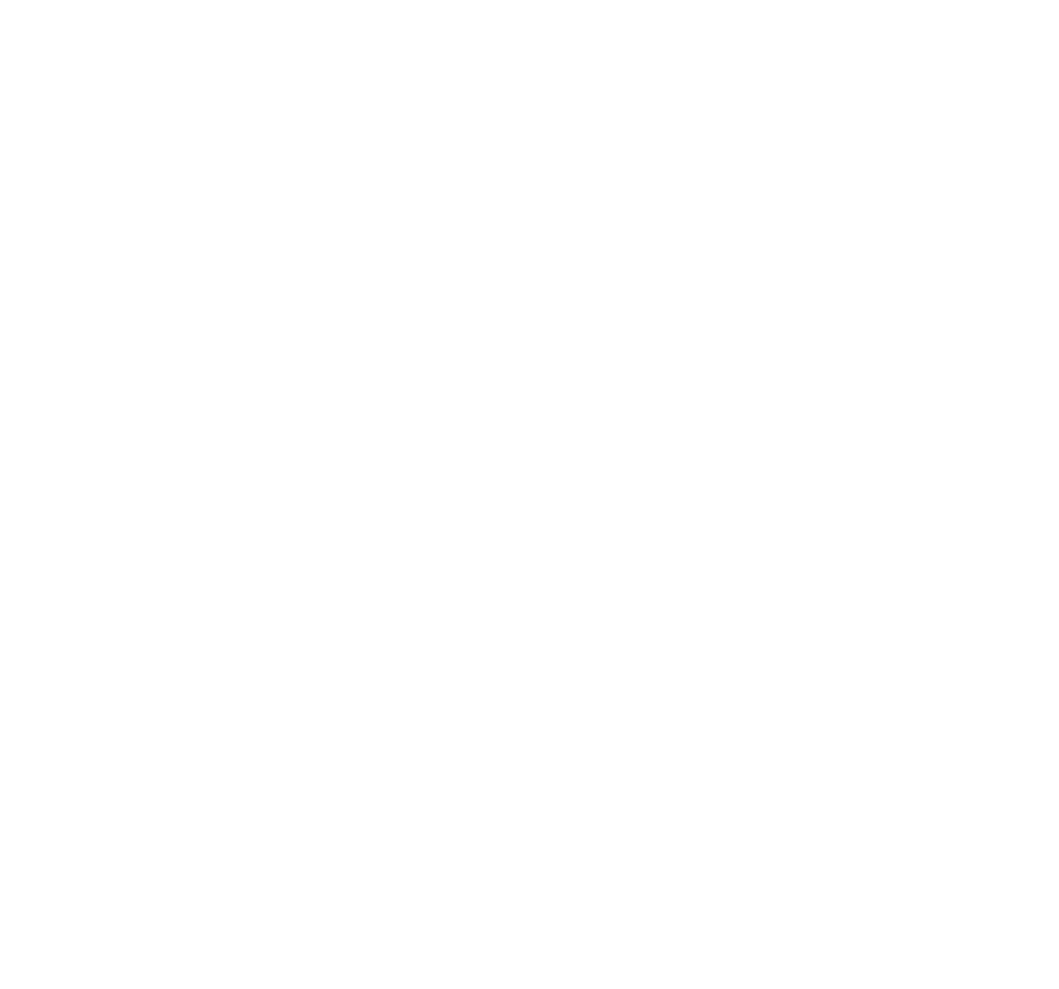 ASV logo